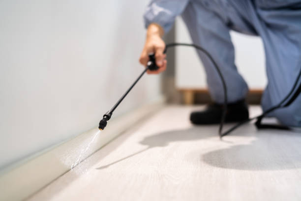 Licensed Cockroach Control service in Damascus, MD - Nex Pest Control