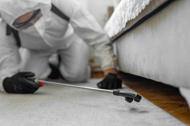 Professional Cockroach Control technician working in Damascus, MD