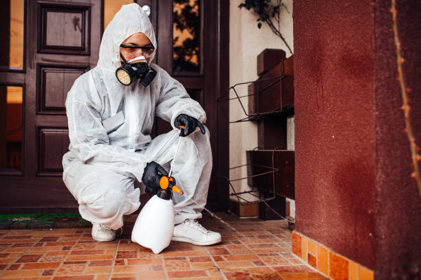 Reliable Cockroach Control contractor in Damascus, MD by Nex Pest Control